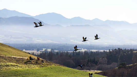 Pleasure ▪ Culture ▪ Craft - Issue 10