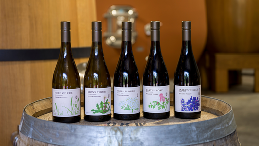 The 2023 Botanicals Collection